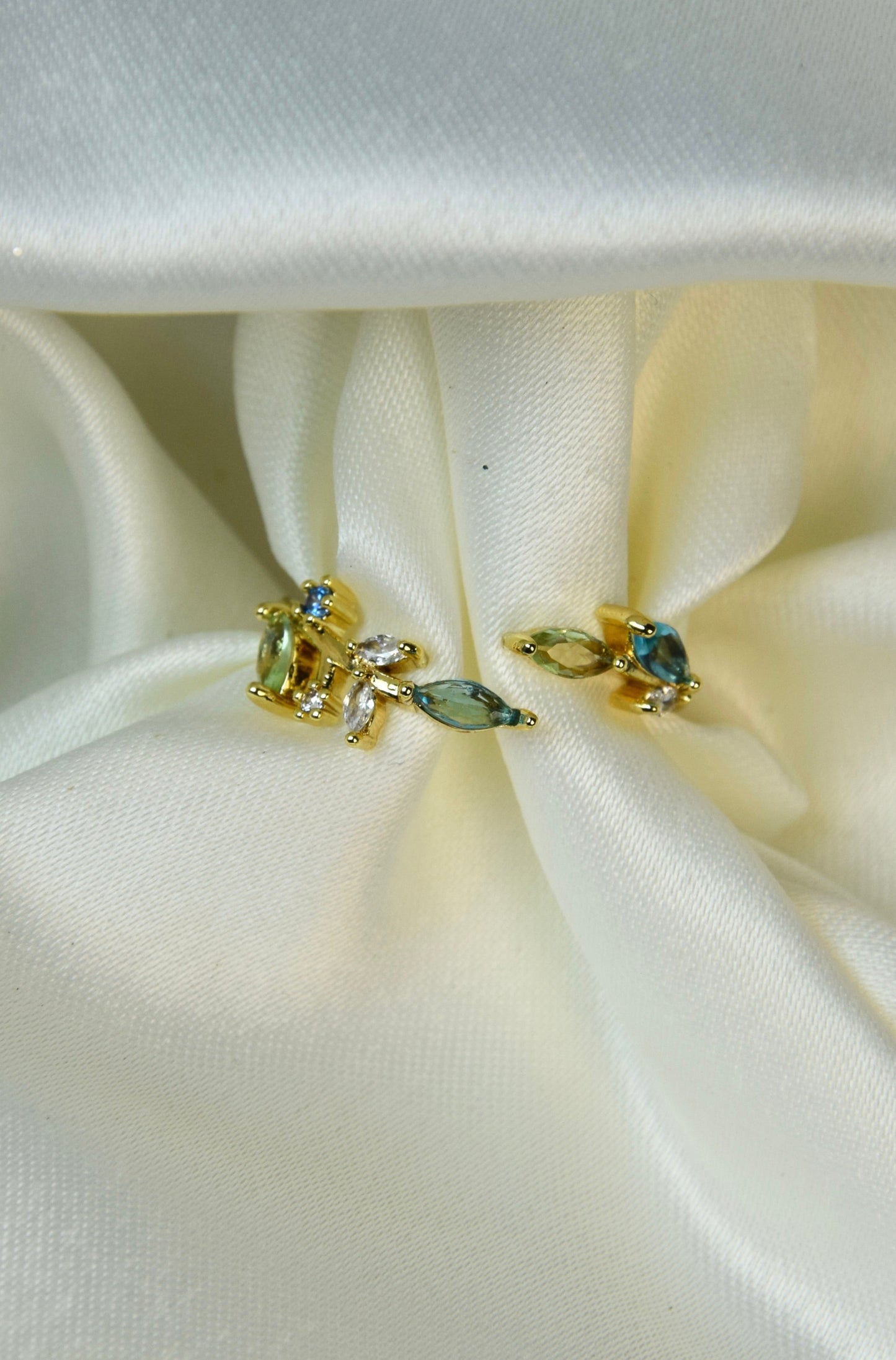 Desmarestia (Bague)