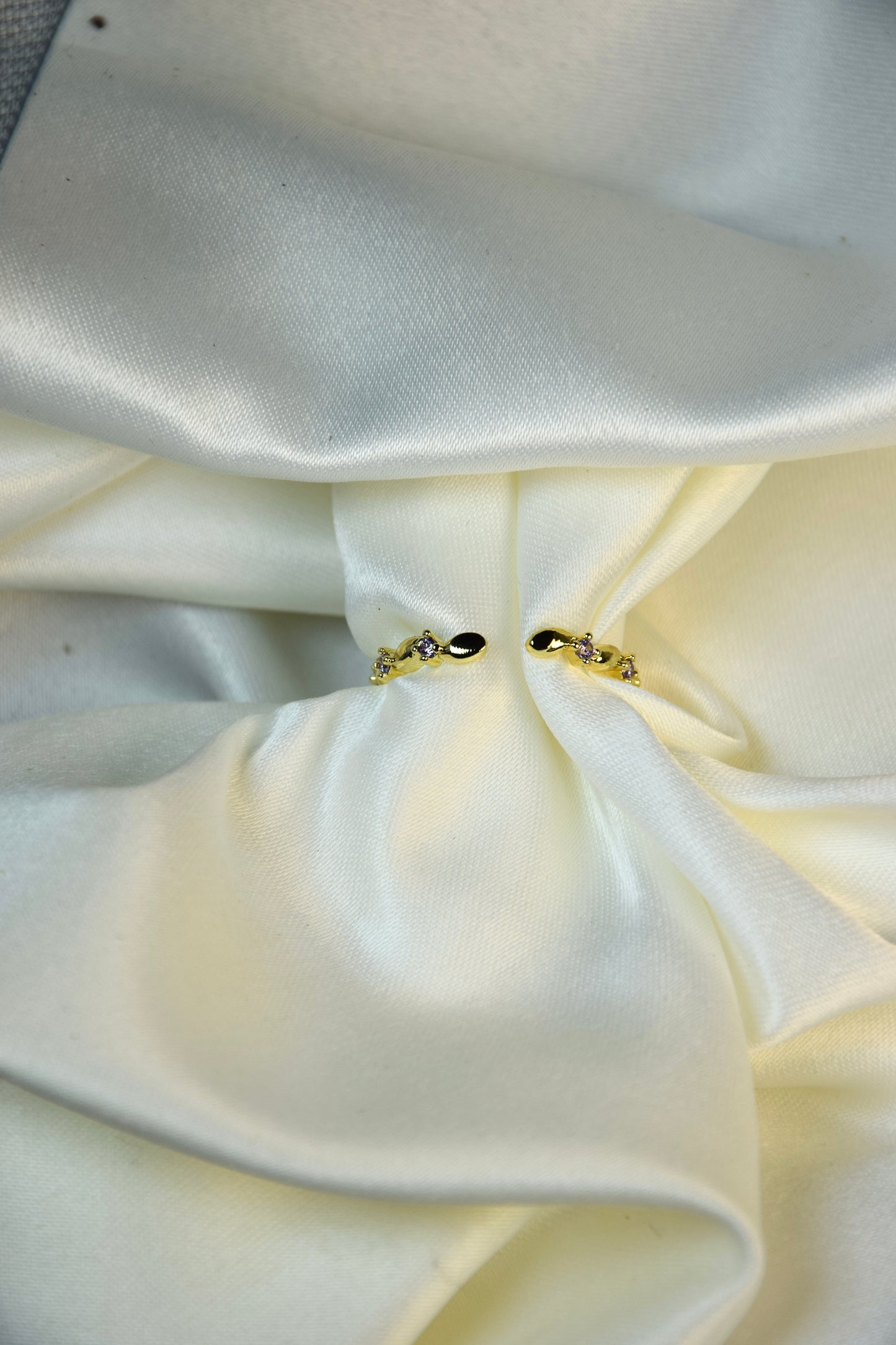 Gracilaria (Bague)